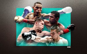 WBC Announces Super Flyweight Tournament | Boxen247.com