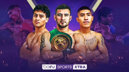 World Cup Boxing Series signs multi-fight deal with beIN SPORTS | Boxen247.com